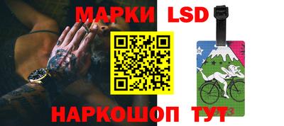 стафф Шебекино